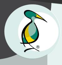 Chemnitzer Siedlungsgemeinschaft eG